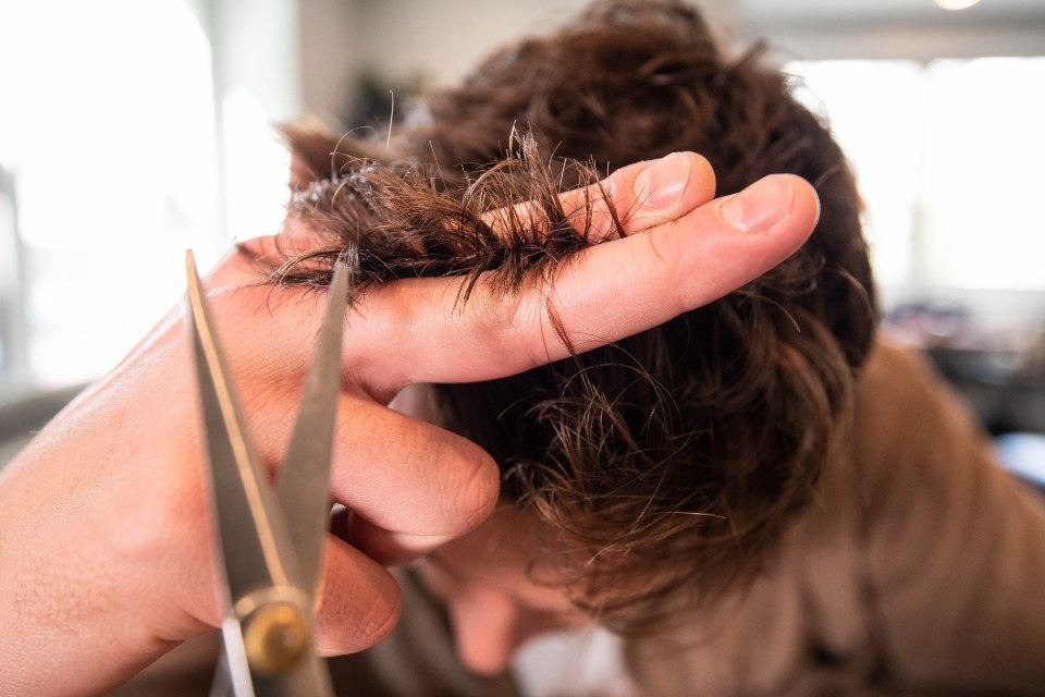 Haircut