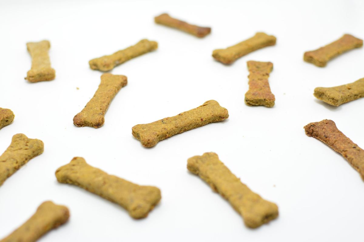 Dog treats